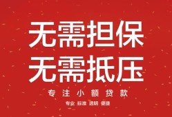 东莞12个人身份证贷款-东莞12身份证线下贷款-东莞12哪里有小额贷款