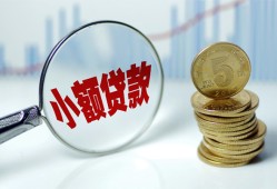 东莞12哪里可以小额贷款-东莞12哪里有民间借贷-东莞12民间短期私借借款