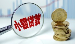 东莞12哪里可以小额贷款-东莞12哪里有民间借贷-东莞12民间短期私借借款