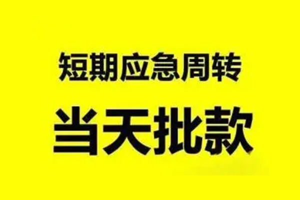 东莞12小额贷款公司