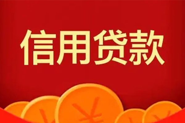 东莞12身份证贷款电话